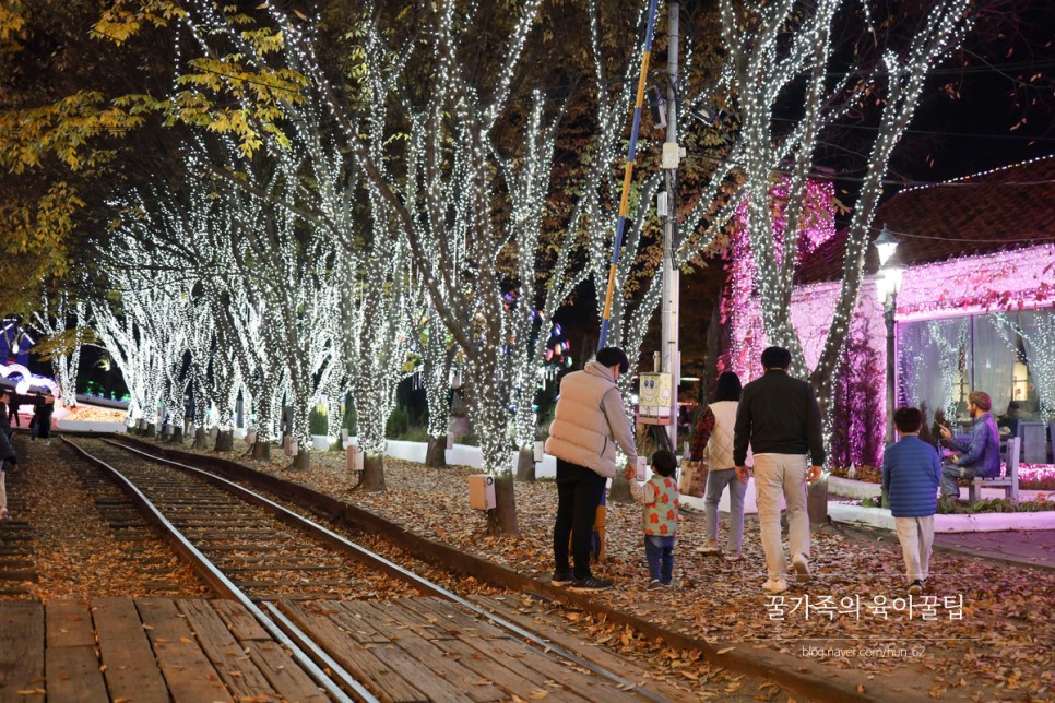 경북 축제 경북 아이와가볼만한곳 청도 61
