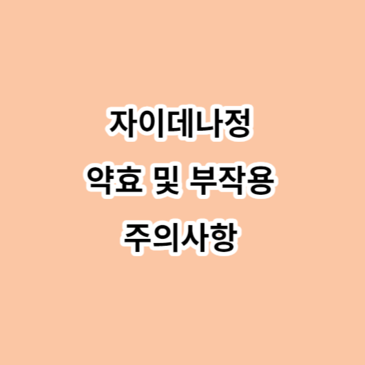 자이데나정 약효