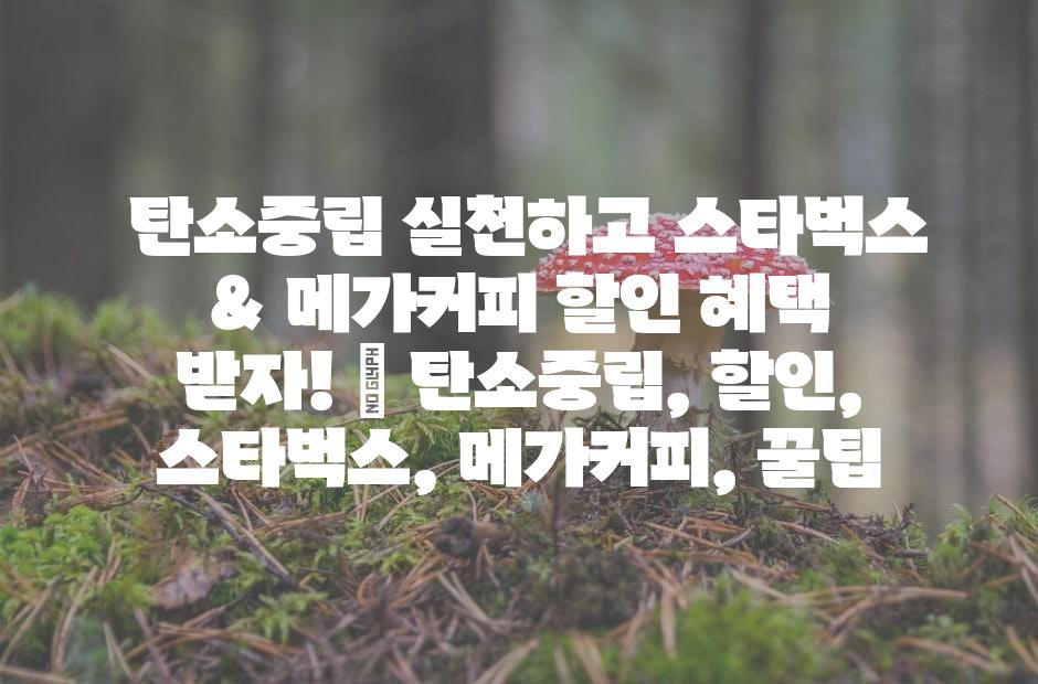 샘플 (42)