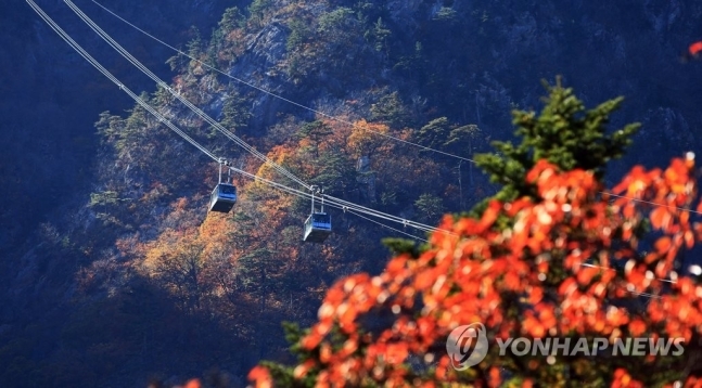 설악산 케이블카 환경부 동의