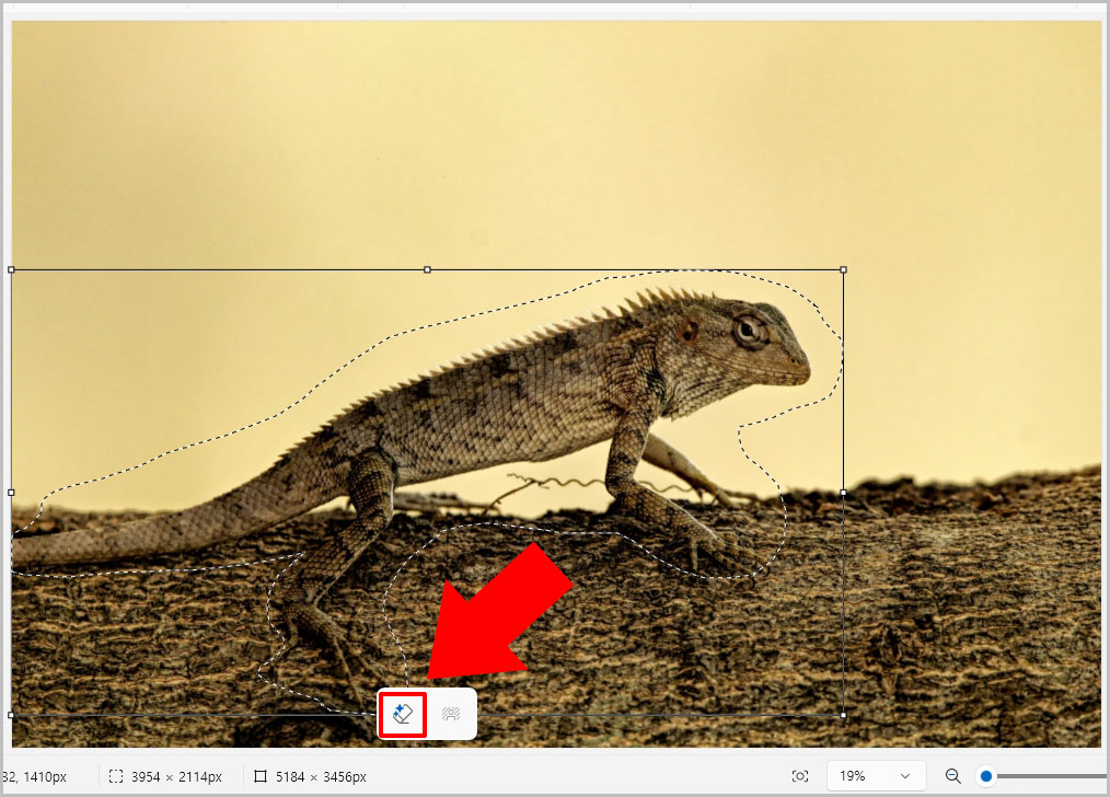 그림판 생성형 지우기