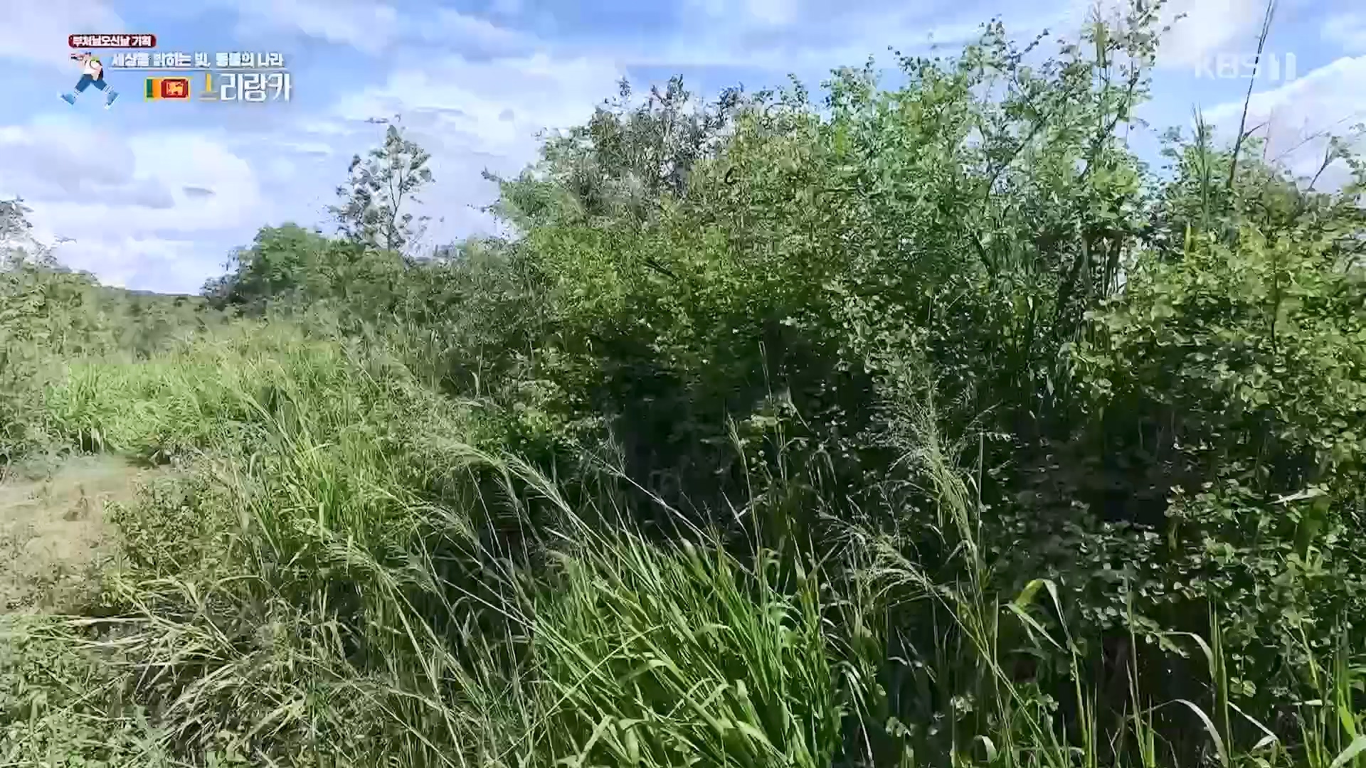 걸어서 세계속으로.E793.230527p.H264-F1RST.mp4_20230605_204808.802.jpg