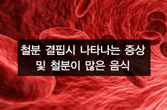 철분 결핍 시 나타나는 증상 및 섭취 방법