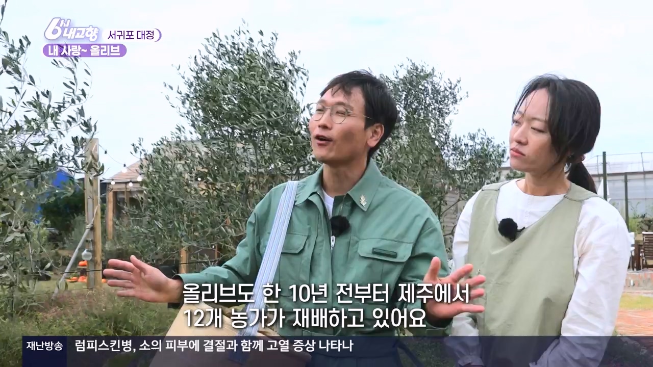 6시 내고향.E7910.231032p-NEXT.mp4_20231101_204600.285.jpg