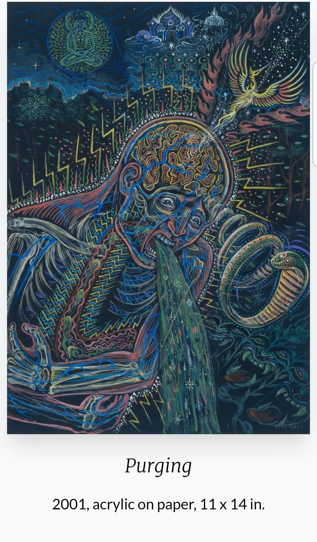 Alex Grey(1953~ ) 작품 &amp;#39;Purging&amp;#39;