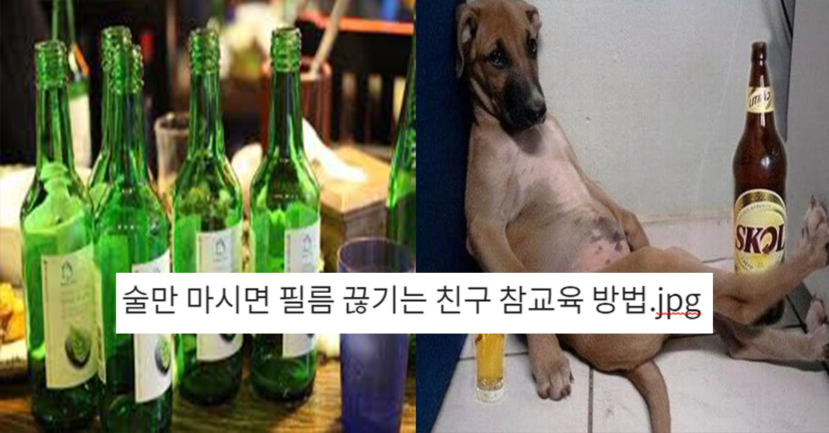  술만 마시면 필름 끊기는 친구 참교육 방법.jpg