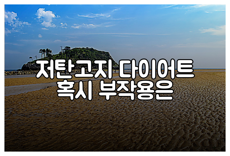 저탄고지 다이어트 혹시 부작용은