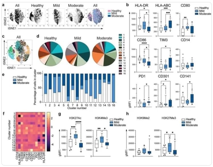 &quot;코로나19&#44; 면역세포도 감염시켜&quot; Transcriptional reprogramming of monocytes in COVID-19