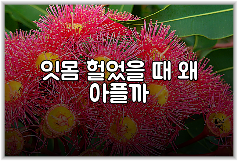 잇몸 헐었을 때 왜 아플까