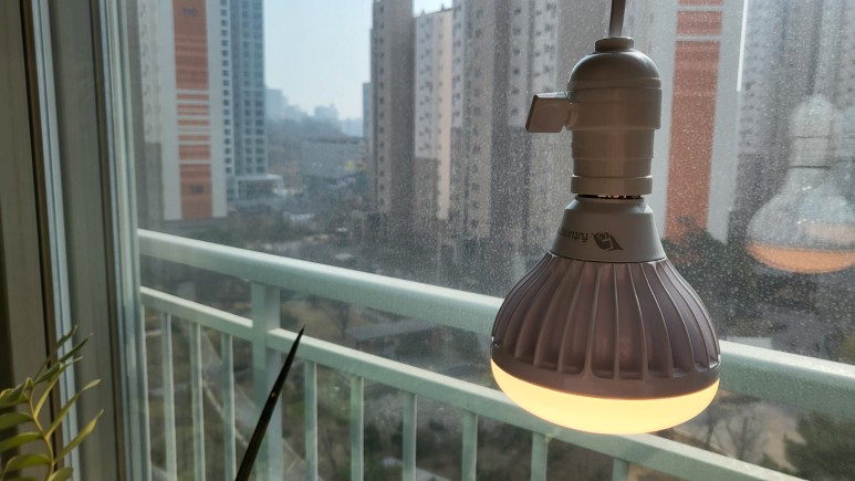 퓨처 그린 식물등으로! 26