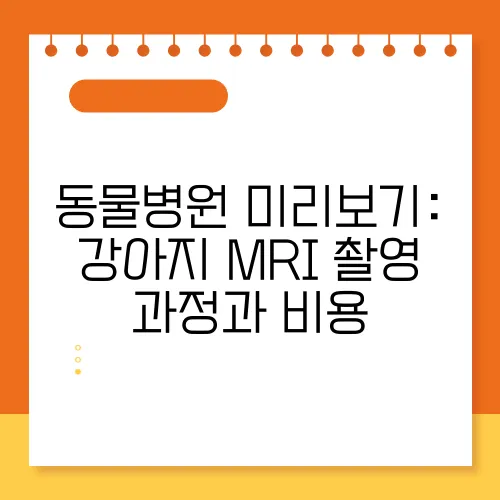 동물병원 미리보기: 강아지 MRI 촬영 과정과 비용