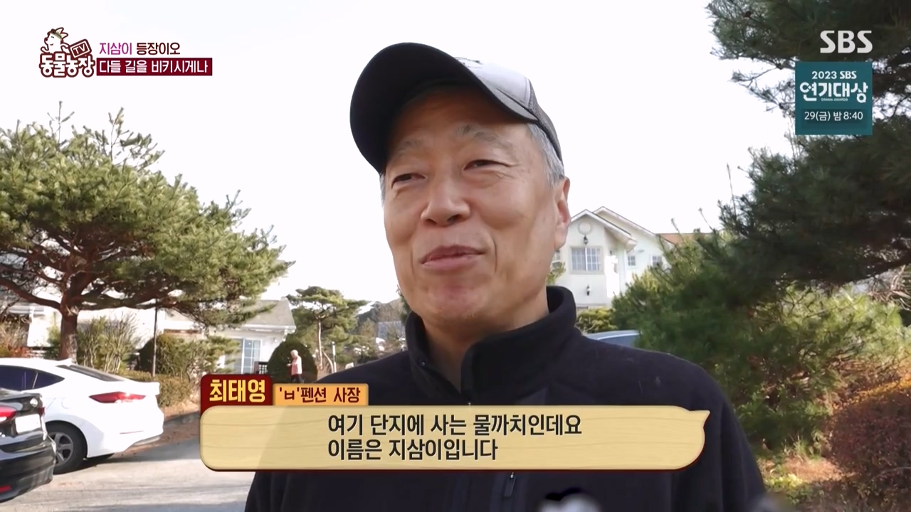 TV 동물농장.E1150.231218p-NEXT.mp4_20231217_170448.339.jpg