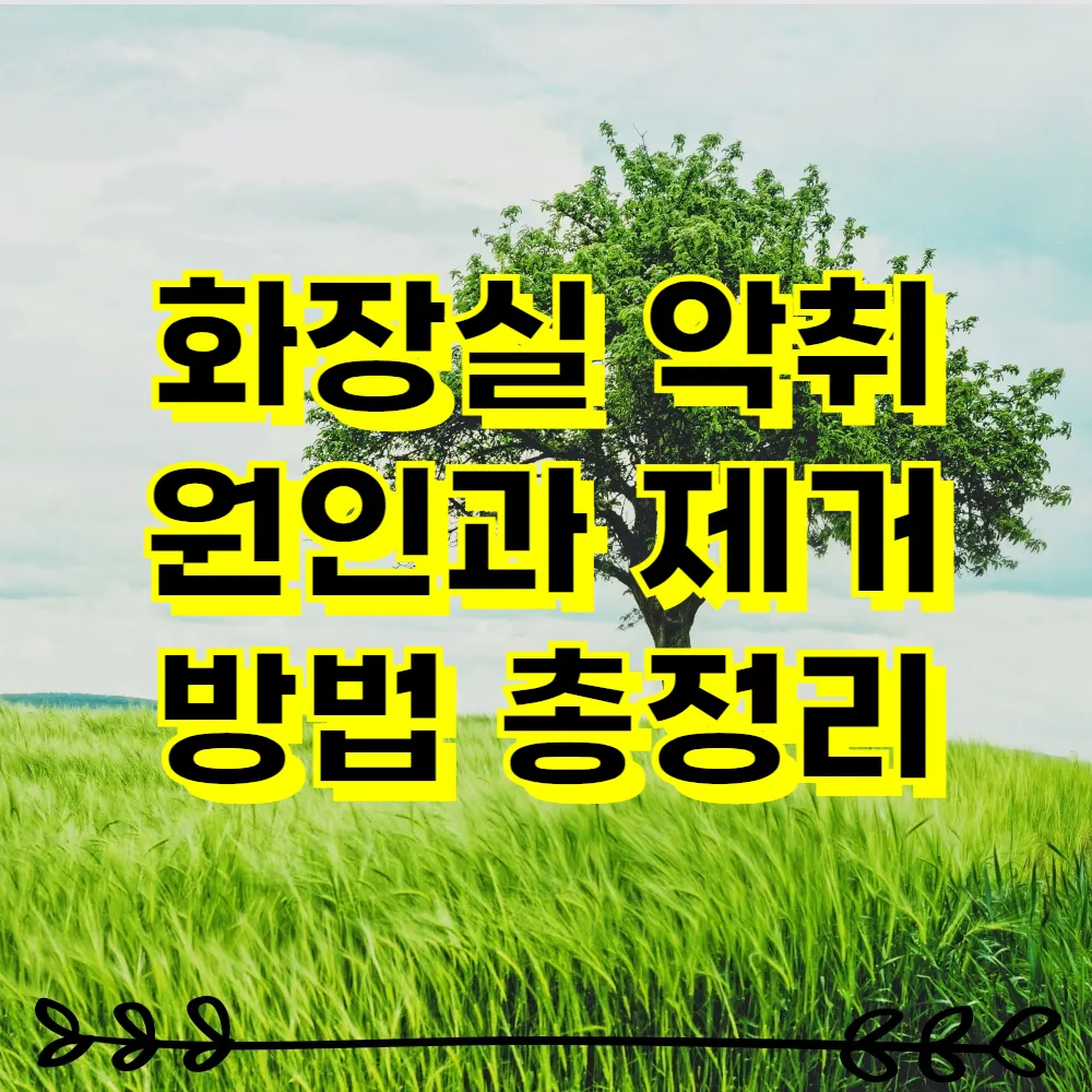 화장실 악취 원인과 제거 방법 총정리