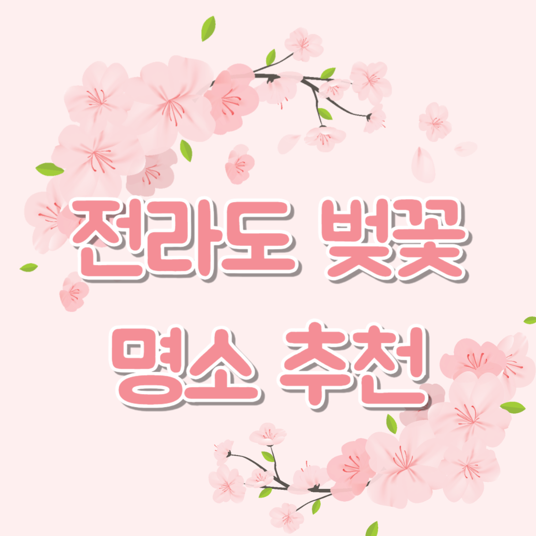 전라도 벚꽃 명소 추천