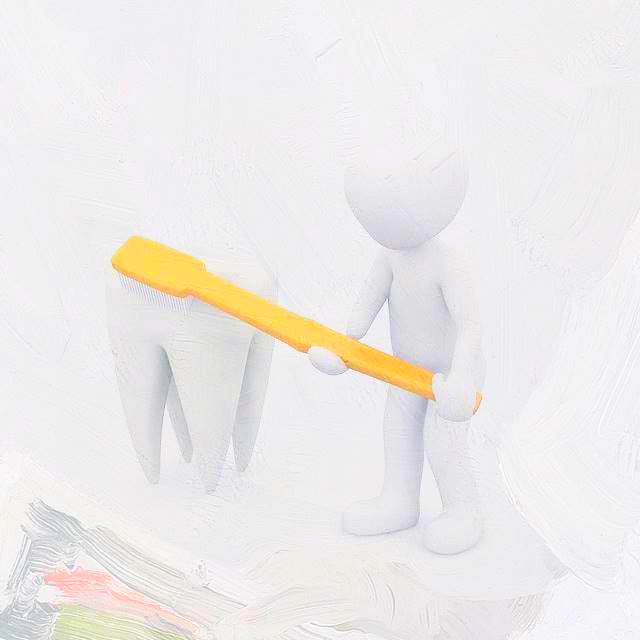 임플란트 가격비교