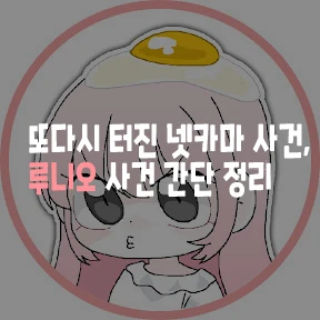  또다시 터진 넷카마 사건, 루니오 사건 간단 정리