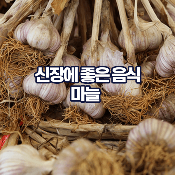 신장에 좋은 음식 마늘