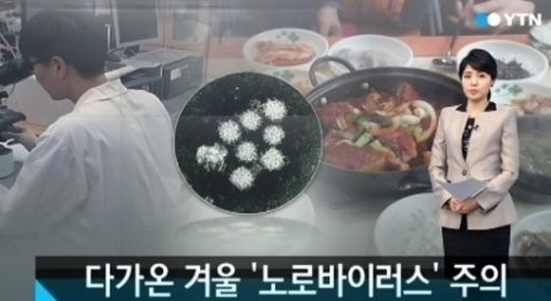 노로바이러스 증상&치료&총정리