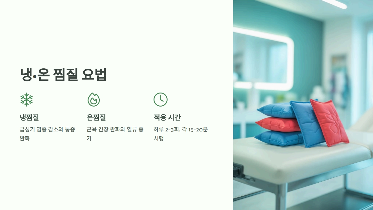 추간판 탈출증 치료방법