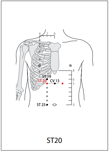 족양명위경 (ST) > ST20 승만 (承滿) 1