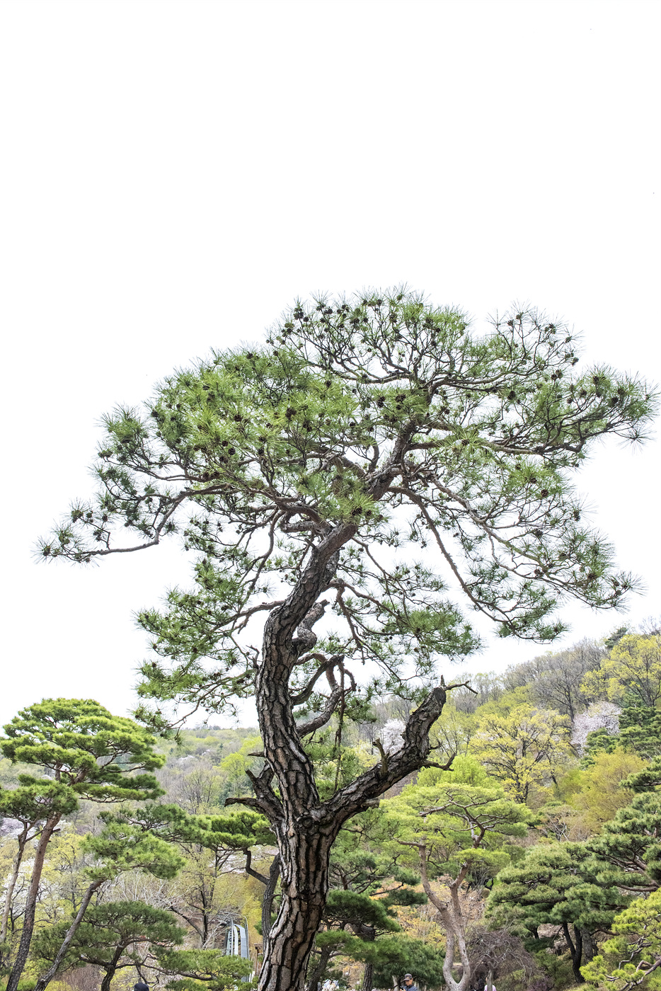 들녘 이미지