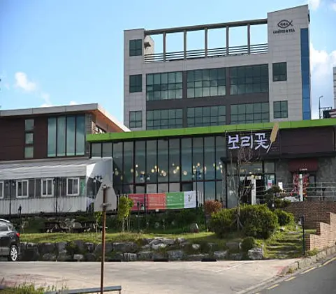 보리꽃
