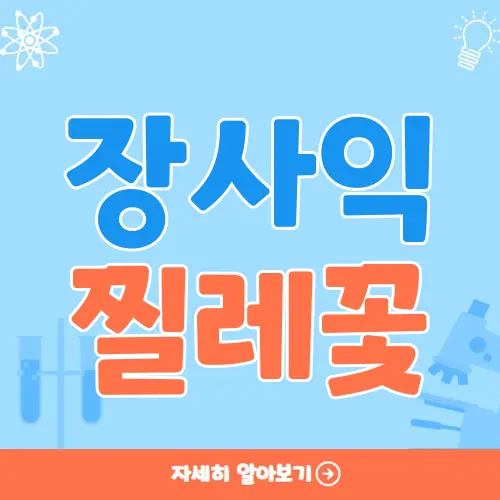 장사익 찔레꽃
