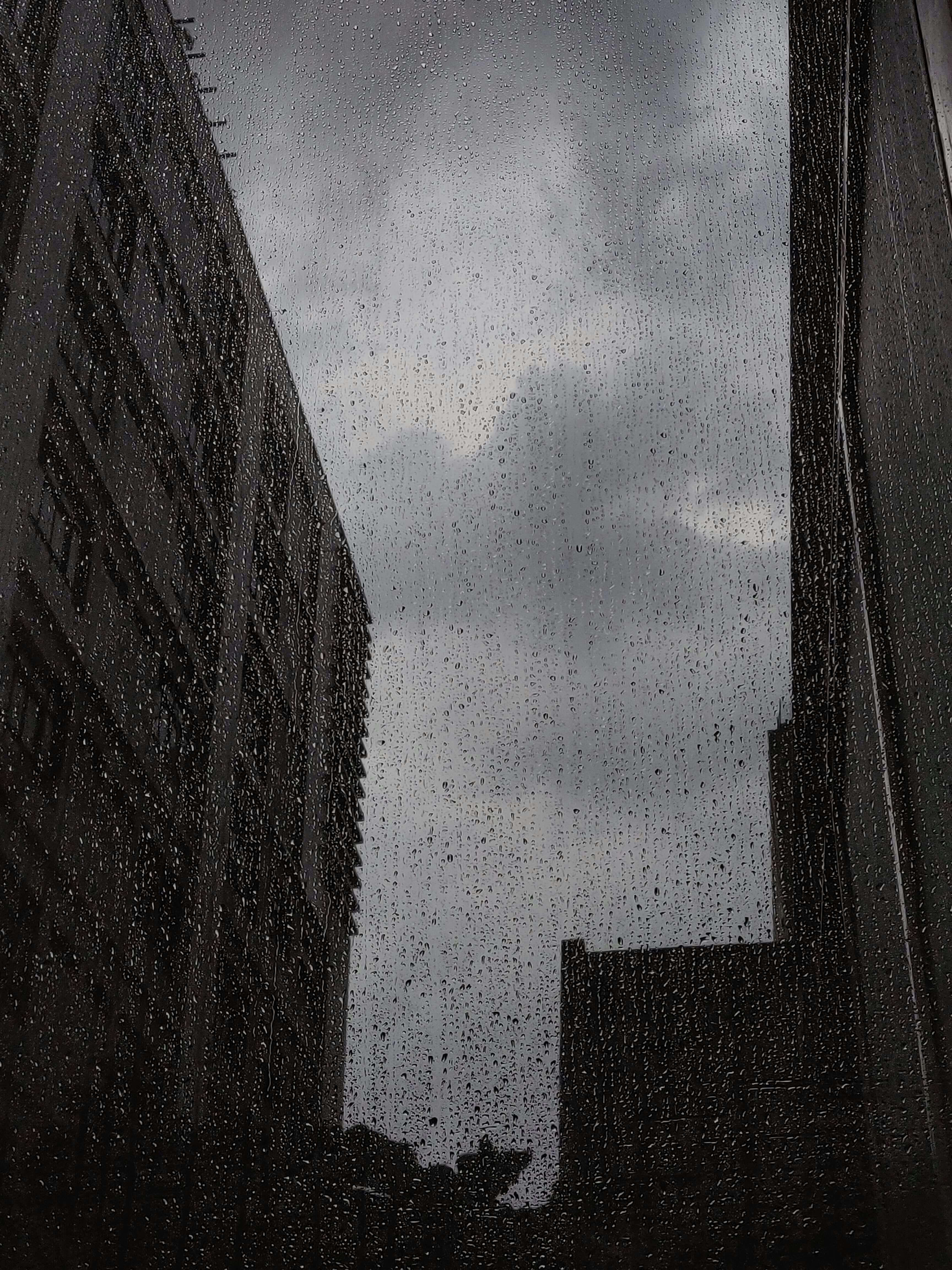 장마