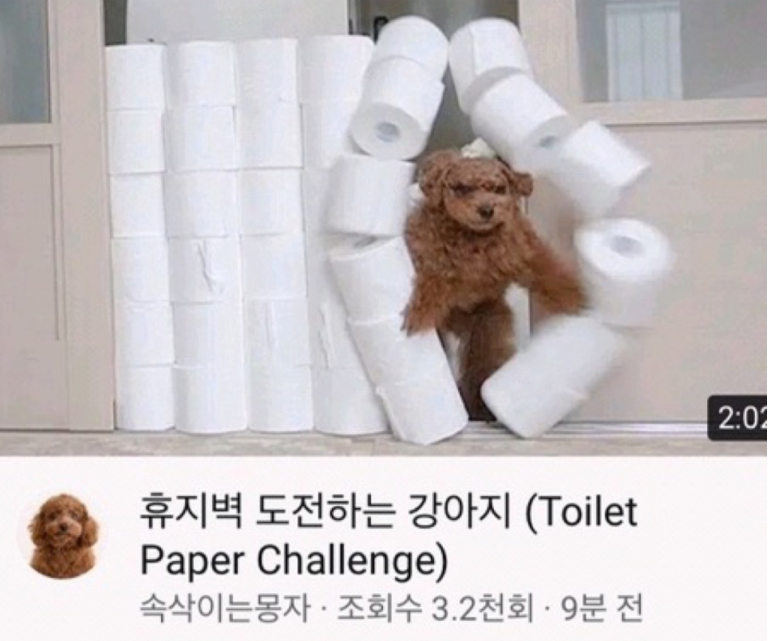  썸네일 맛집인 어느 멍뭉이 유투브.jpg