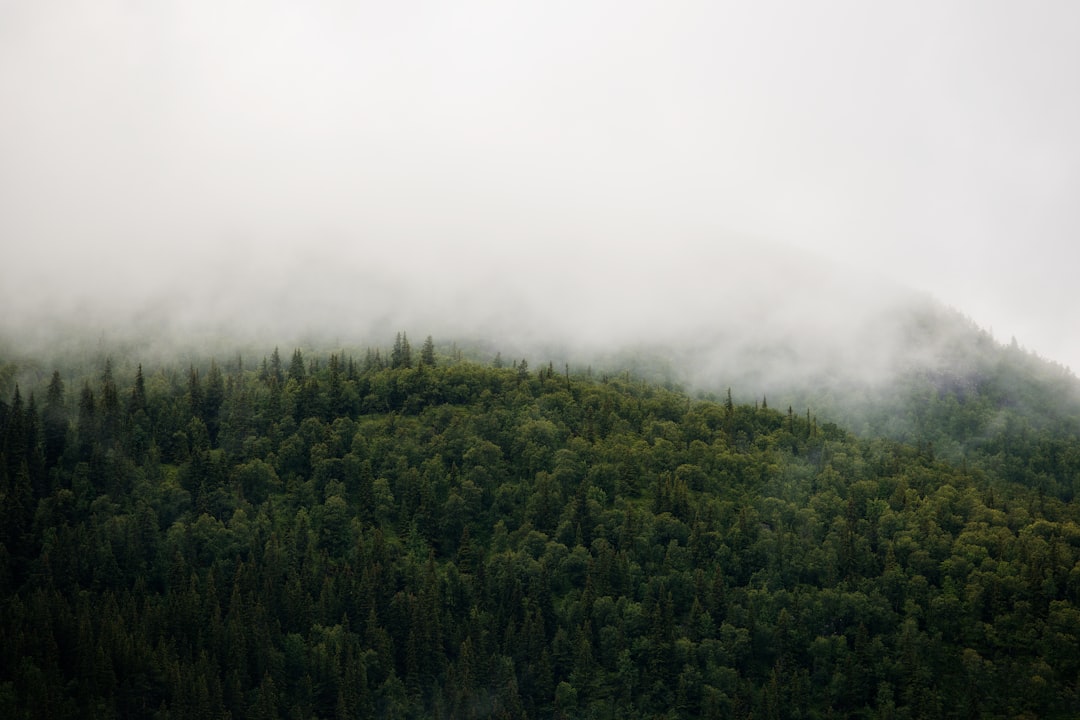 Environmental