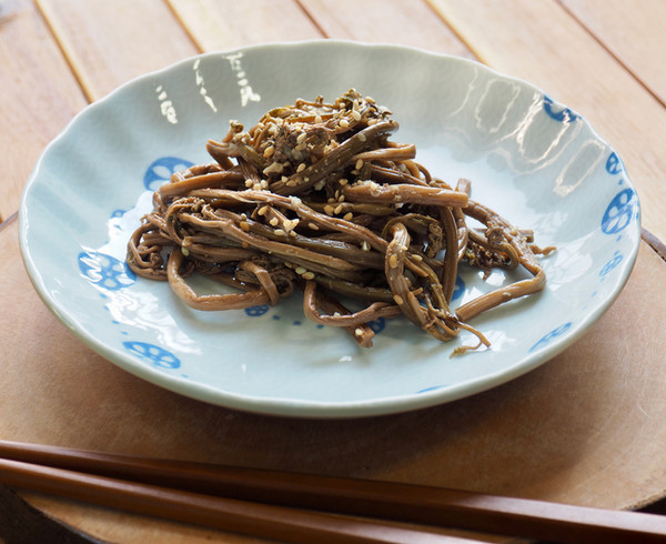 [식재료] 양치류 고사리의 효능에 7