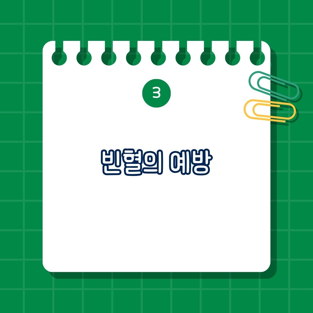빈혈 예방