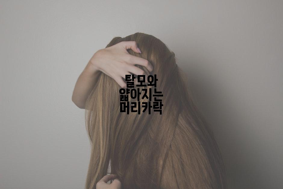 탈모와 얇아지는 머리카락