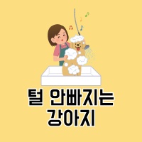 털 안빠지는 강아지 섬네일