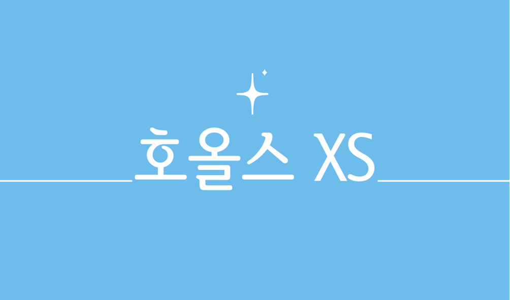 호올스 XS