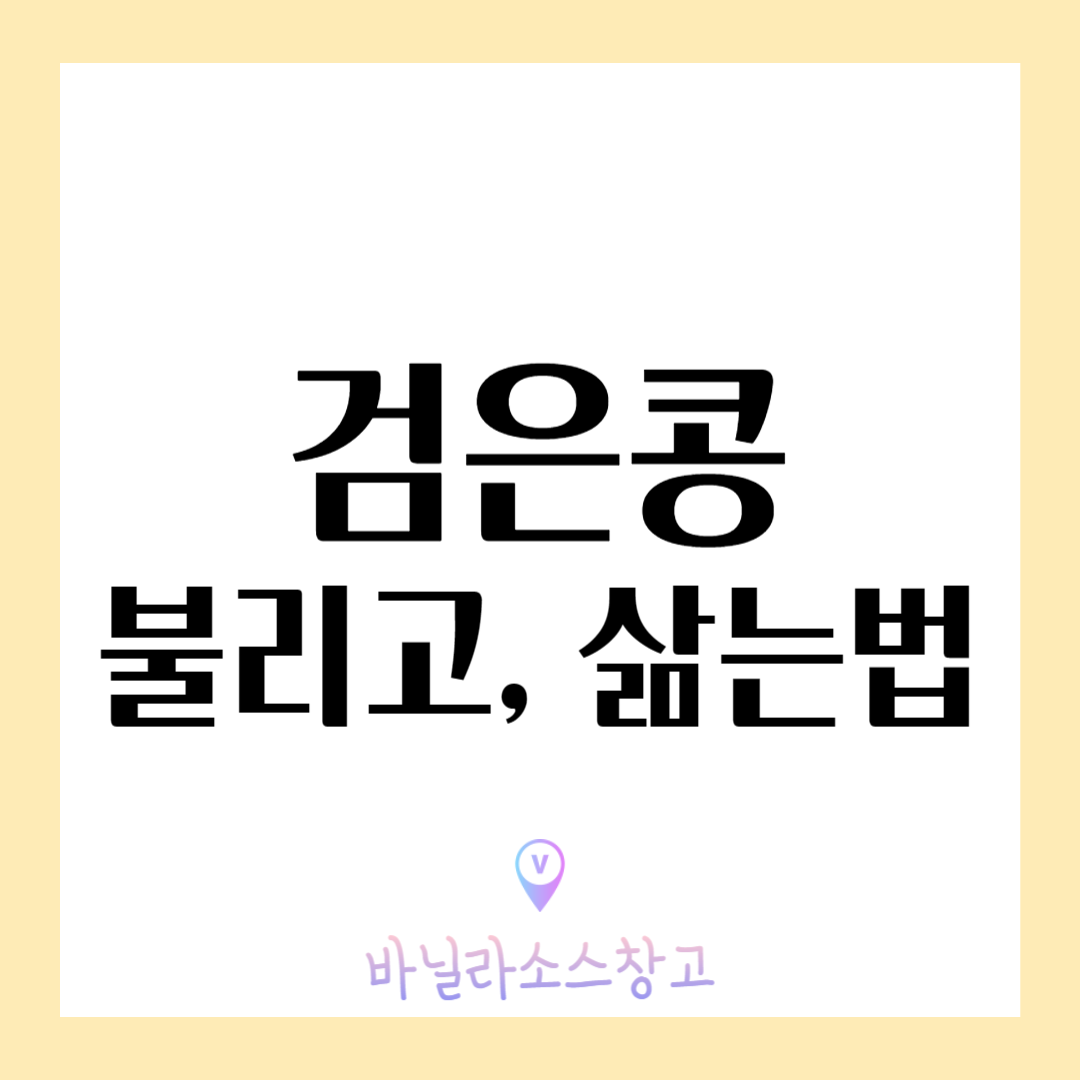검은콩 불리는 시간 20분이면 충분해요.(검은콩 맛있게 삶는 법)1