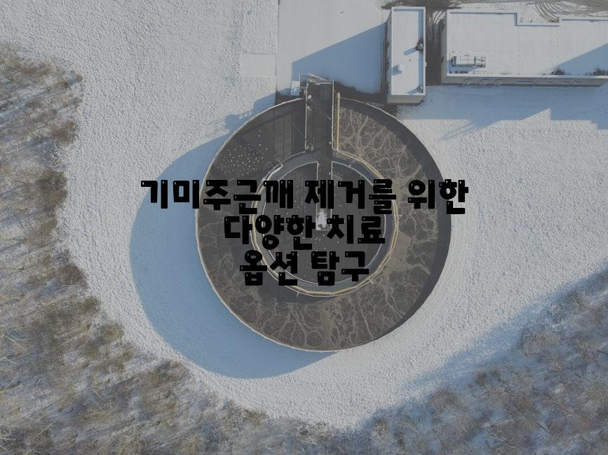 기미주근깨 제거를 위한 다양한 치료 옵션 탐구