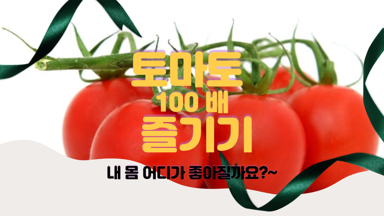  토마토 효능 / 다이어트 ,요리법 , 장수 효과 알아보기