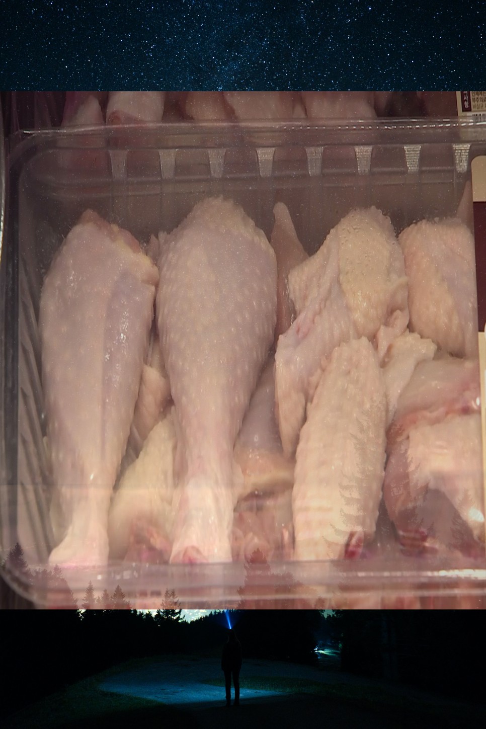 asf 발생 닭고기 육계 관련주 ASF발생 및 삼겹살 가격 급등에 6