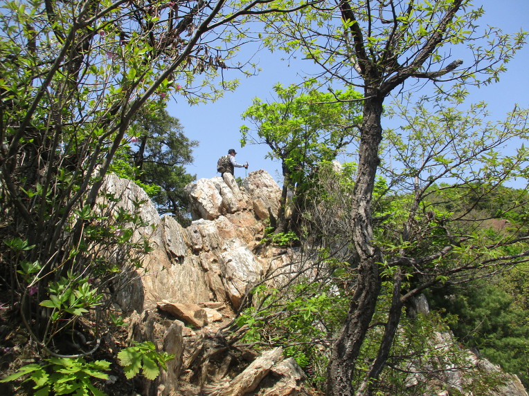 슬기정 이미지