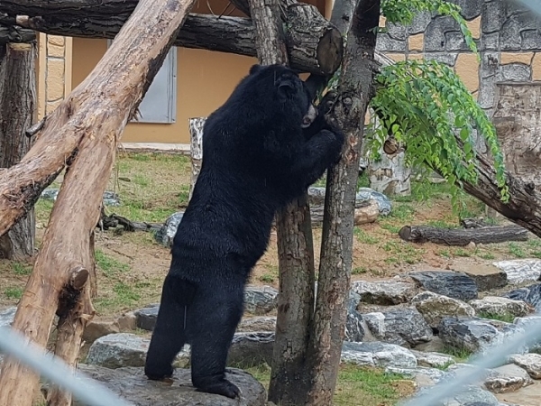 청주동물원