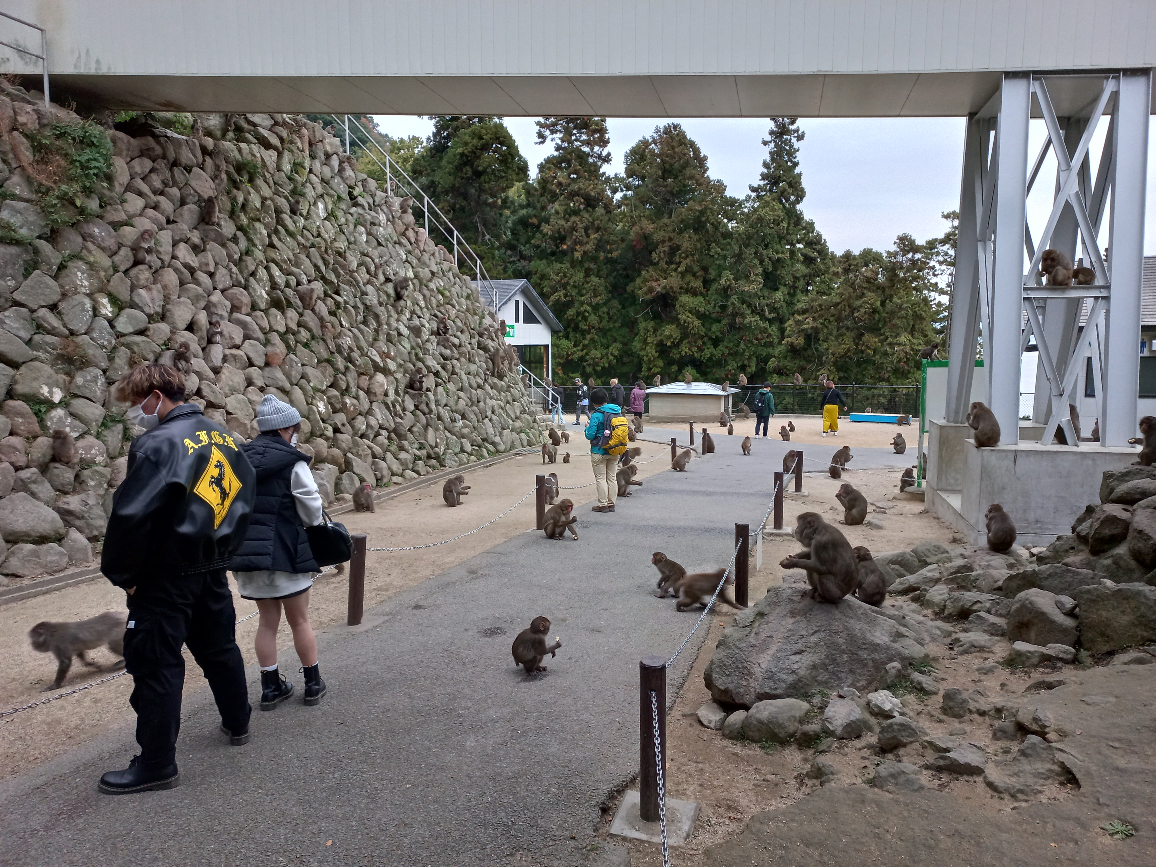 타카사키야마자연동물원에서 찍은 사진