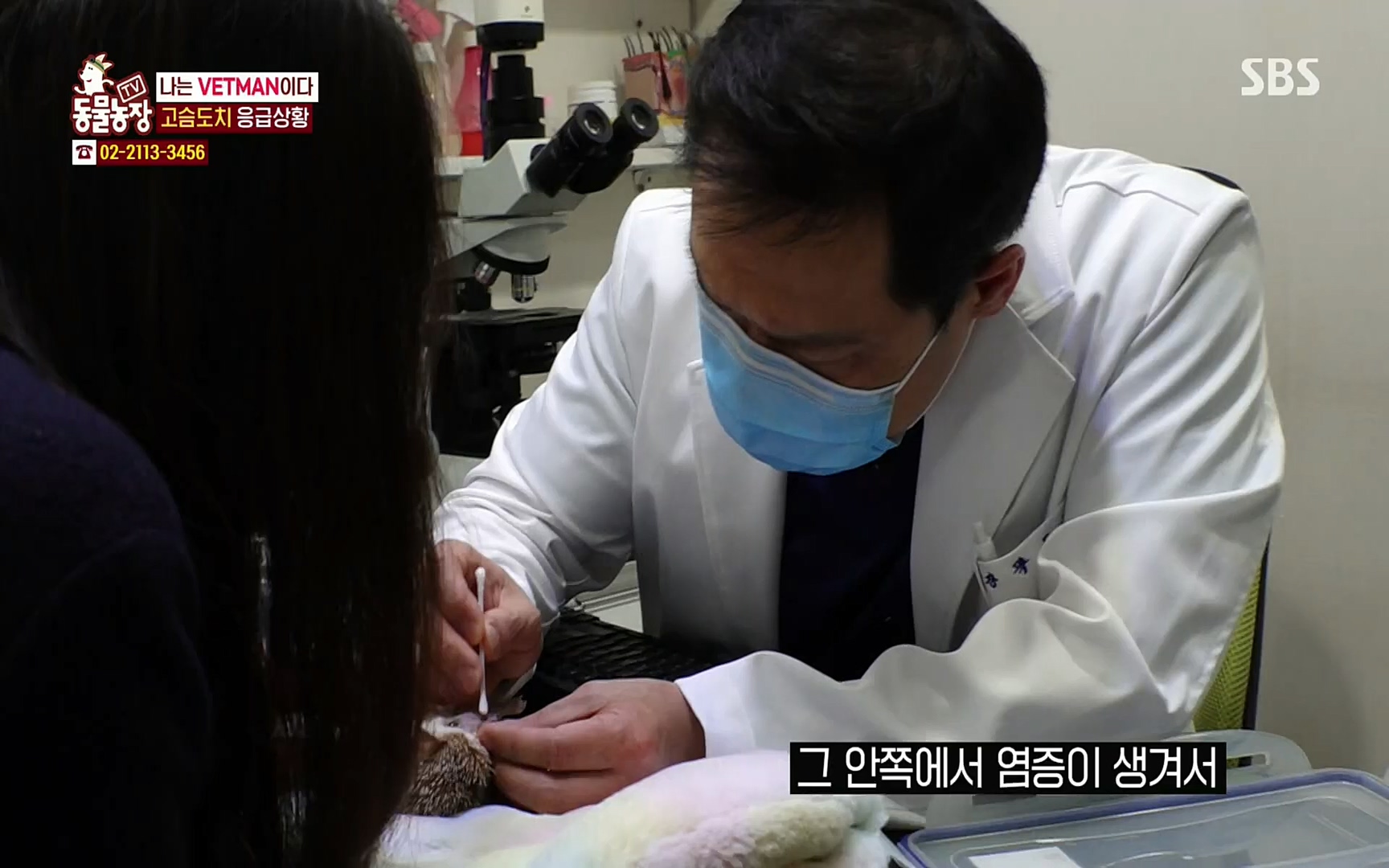 TV 동물농장.E1064.220410p.H264-F1RST.mp4_20220410_184945.244.jpg