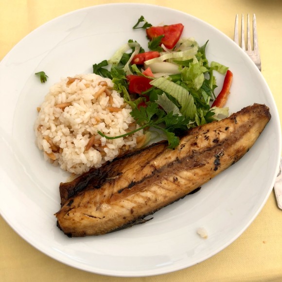 7일차 1편 :: 트로이 목마&트로이 유적지, 고등어케밥 2019. 8. 15. 댜든이의 터키 가족여행 20