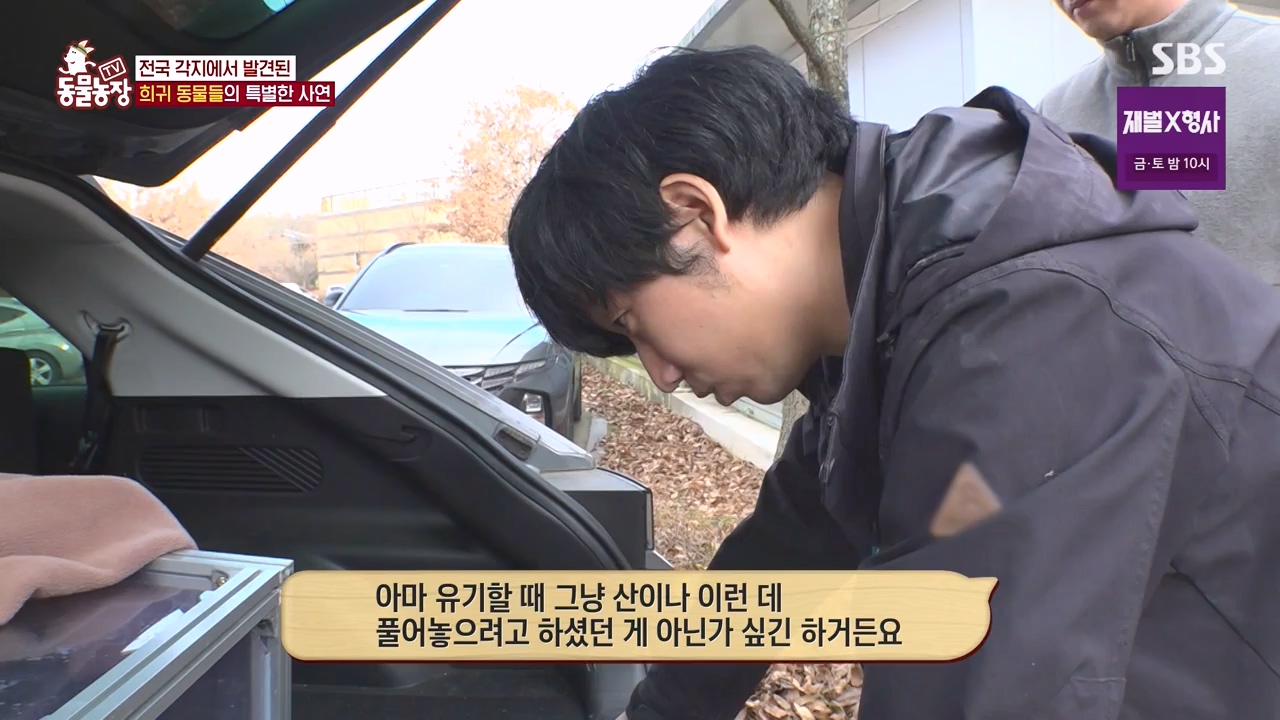 TV 동물농장.E1156.240129p-NEXT.mp4_20240128_191737.874.jpg