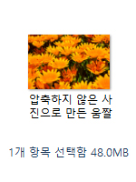 압축하지 않은 사진으로 만든 GIF파일의 용량