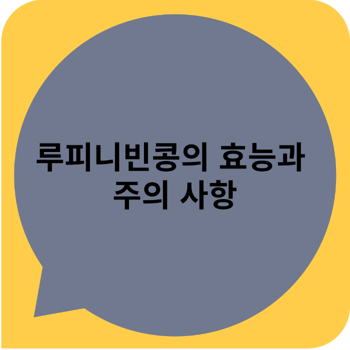 루피니빈콩의 효능과 주의사항