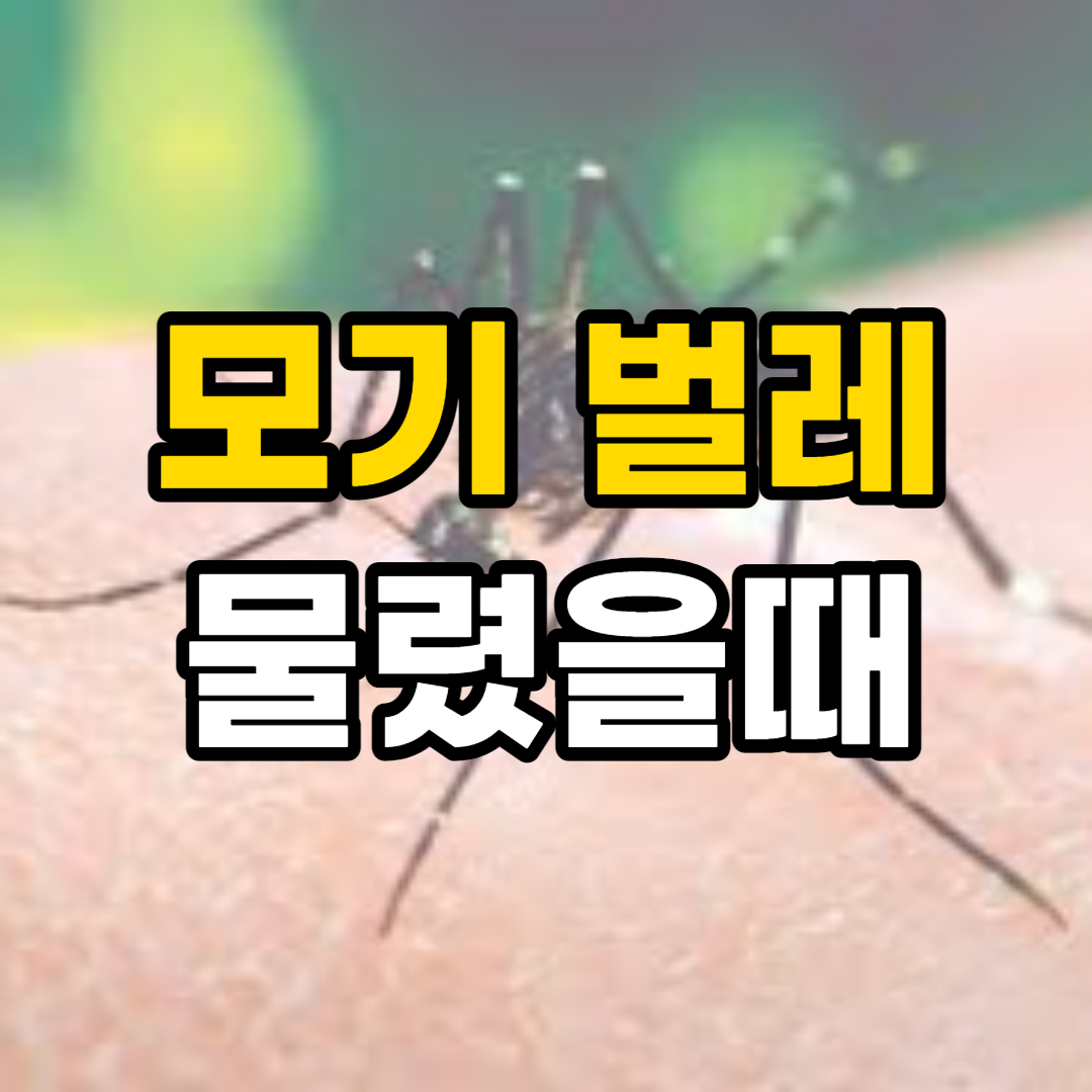  모기나 벌레 물렸을 때 대처법, 모기 퇴치 방법