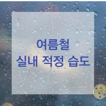 여름철 습도 관리 완벽 가이드 건강한 실내 환경_5