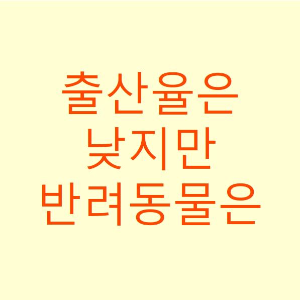  출산율은 낮지만 반려동물은 애지중지